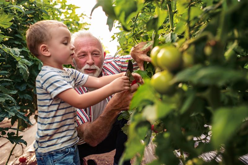 Webinar-Aufzeichnung: Das Clartan Ruhestandsportfolio – Ihre Freiheit im Alter sichern