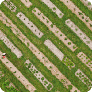 Photo vue du ciel par Yann Arthus-Bertrand