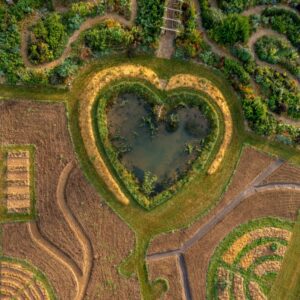 Photo vue du ciel par Yann Arthus-Bertrand